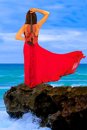 Water Music Series: Magical Music. This is 30"x45" printed on canvas. Looks like a painting