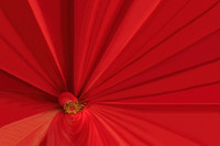 Red Passion. This is 45"x30" printed on canvas. Looks like a painting.