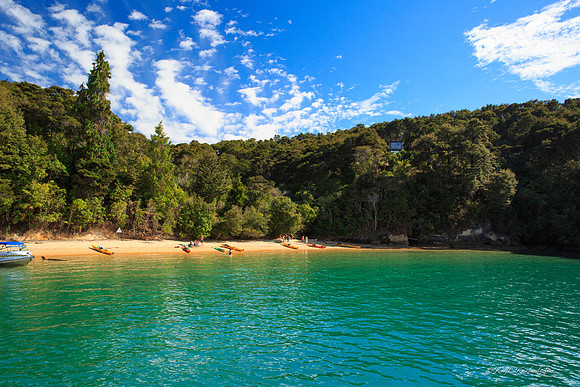 Beach in Abel Tasman National Park
