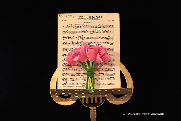 Suite in B Minor