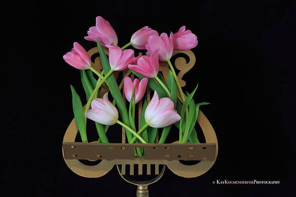 Flower Music