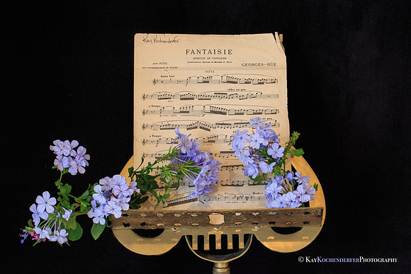 Fantasia