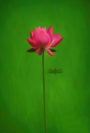 Pink Water Lily with Dragonfly