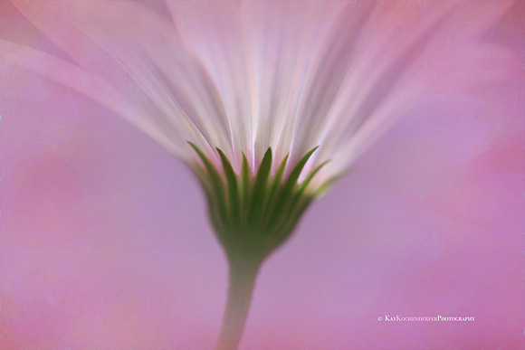 Light From Within No. 3