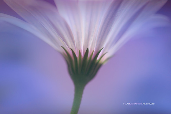 Light From Within No. 2