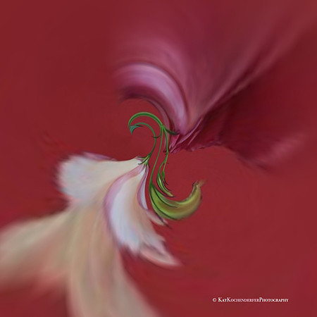 The Waltz