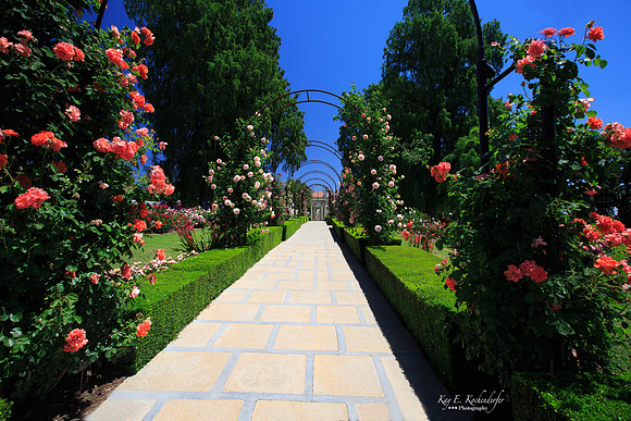 Archway to Rose Garden at Huntington Gardens