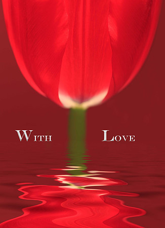 With Love - Card cover