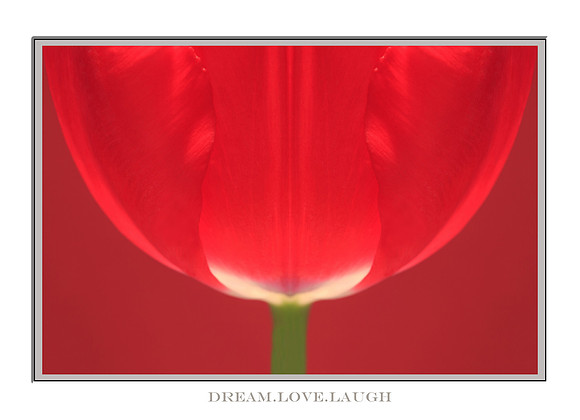 Dream.Love.Laugh card cover