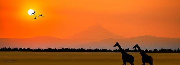 African Serenity