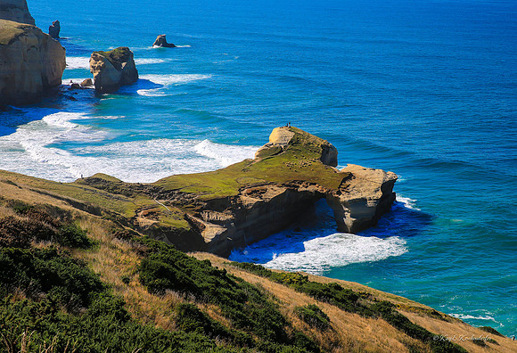 Tunnel Beach in New Zealand