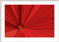 This is a mock up of the  Red Passion image with a thin silver frame. Total size 16"x16".