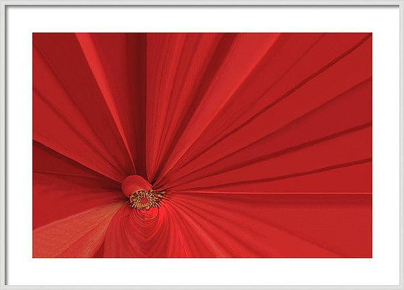 This is a mock up of the  Red Passion image with a thin silver frame. Total size 16"x16".