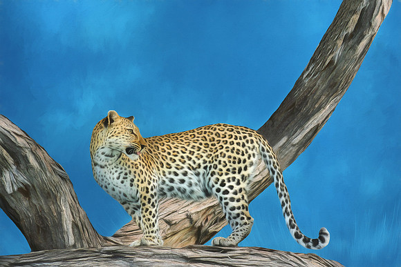 Leopard On The Lookout. 24"x16" printed on canvas. Looks like painting.